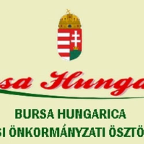 Sóly - Pályázat - Bursa Hungarica