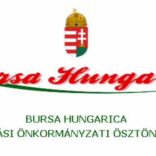 Sóly - Bursa Hungarica Ösztöndíjpályázatok
